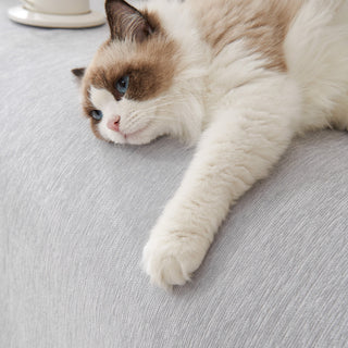 Pure Embrace Sofa Cover