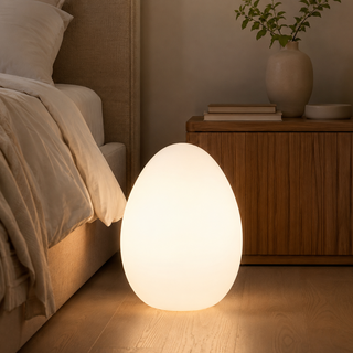 Modern Sculptural  Oval LED Floor Lamp