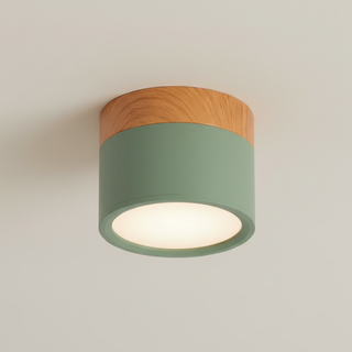 Minimalist Aluminum Ceiling Light with Wood Accent