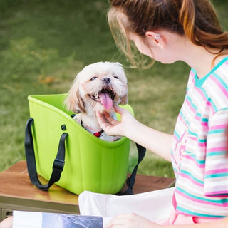 Lightweight and Travel-Ready Pet Carrier