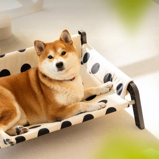 Polka Dot Frosted Suede Elevated Dog Bed