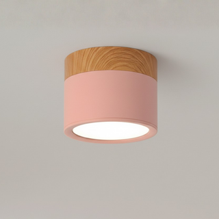 Minimalist Aluminum Ceiling Light with Wood Accent