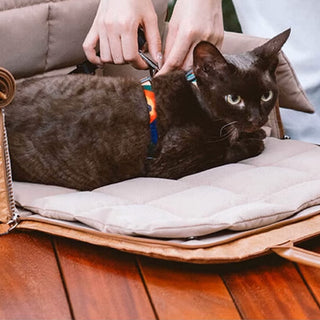 Breathable Travel Bag for Cats & Small Dogs