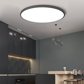 Round Flush Mount Ceiling Light