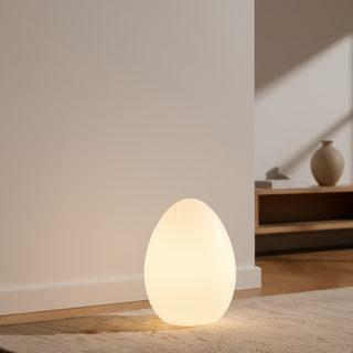 Modern Sculptural  Oval LED Floor Lamp