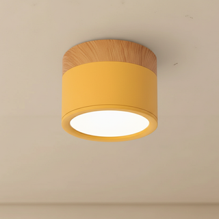 Minimalist Aluminum Ceiling Light with Wood Accent