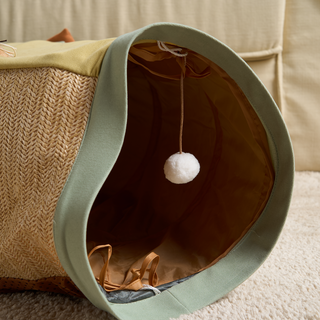 Collapsible Cat Tunnel Bed