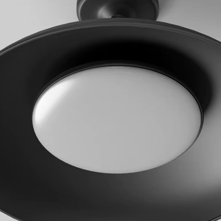 Black Round Semi-Flush Mount Outdoor Light