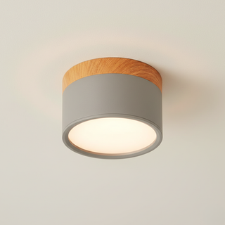 Minimalist Aluminum Ceiling Light with Wood Accent