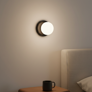Nordic Glass Globe Wall & Ceiling Light