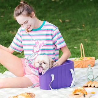 Lightweight and Travel-Ready Pet Carrier