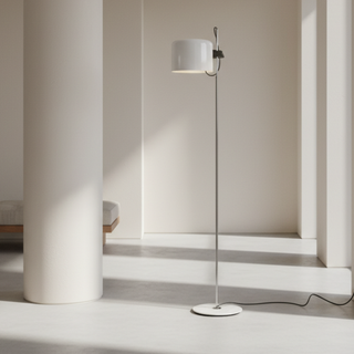 Modern Floor Lamp with Flexible Illigination