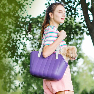 Lightweight and Travel-Ready Pet Carrier