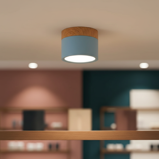 Minimalist Aluminum Ceiling Light with Wood Accent