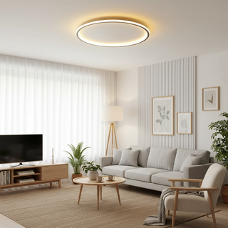 Modern Round Scandinavian Ceiling Lamp