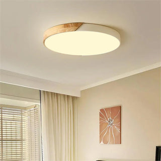 Modern Color LED Ceiling Light – Round