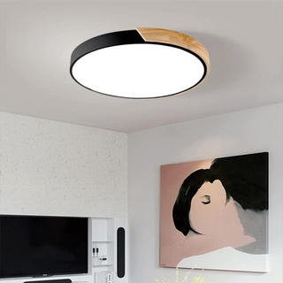 Modern Color LED Ceiling Light – Round