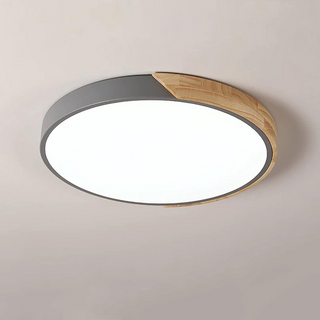 Modern Color LED Ceiling Light – Round