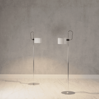 Modern Floor Lamp with Flexible Illigination