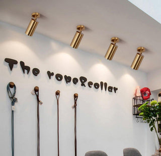Modern Brass Wall Spotlight