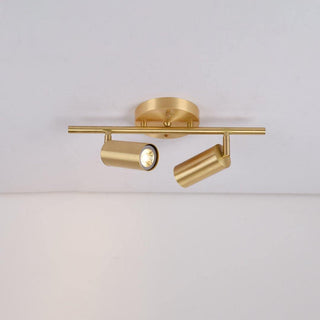 Modern Brass Wall Spotlight