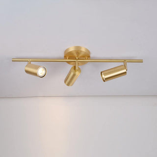 Modern Brass Wall Spotlight