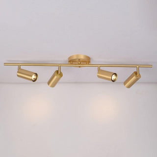 Modern Brass Wall Spotlight