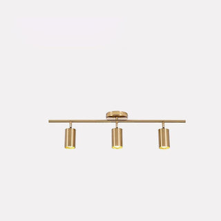Modern Brass Wall Spotlight
