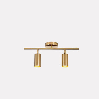 Modern Brass Wall Spotlight