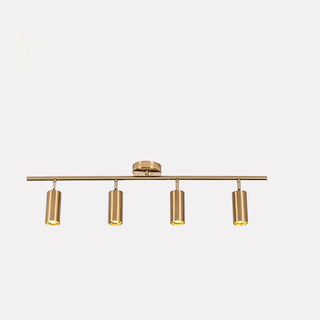 Modern Brass Wall Spotlight