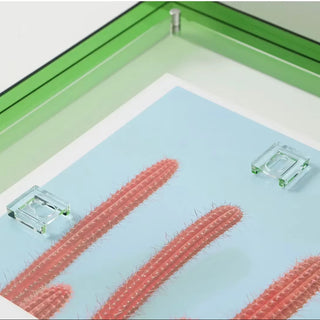 Transparent Acrylic Picture Frame