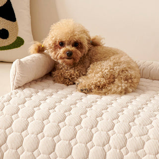 Ultra-Soft Dog Mat