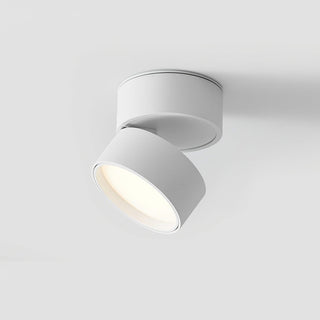 Modern Adjustable Ceiling Spotlight