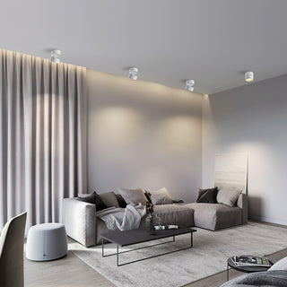 Modern Adjustable Ceiling Spotlight