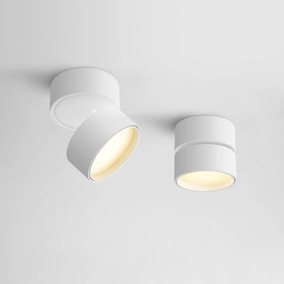 Modern Adjustable Ceiling Spotlight