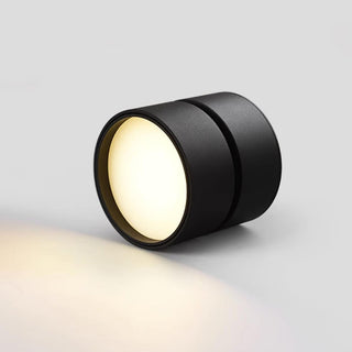 Modern Adjustable Ceiling Spotlight