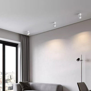 Modern Adjustable Ceiling Spotlight
