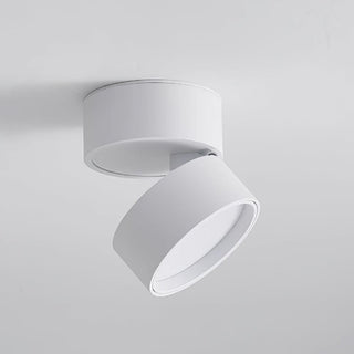 Modern Adjustable Ceiling Spotlight