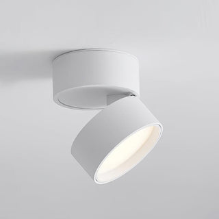 Modern Adjustable Ceiling Spotlight