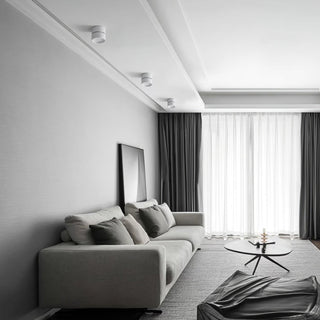 Modern Adjustable Ceiling Spotlight