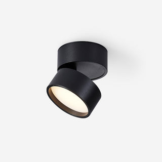 Modern Adjustable Ceiling Spotlight