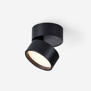 Modern Adjustable Ceiling Spotlight