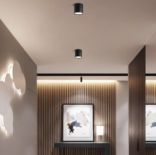 Modern Adjustable Ceiling Spotlight