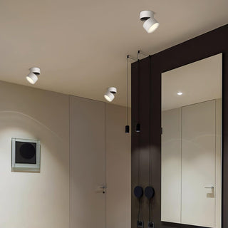 Modern Adjustable Ceiling Spotlight