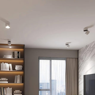 Modern Adjustable Ceiling Spotlight