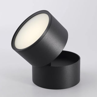 Modern Adjustable Ceiling Spotlight