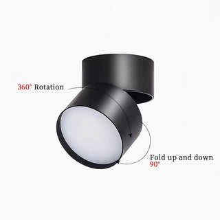 Modern Adjustable Ceiling Spotlight