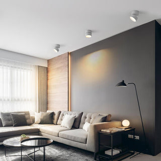 Modern Adjustable Ceiling Spotlight