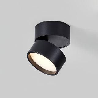 Modern Adjustable Ceiling Spotlight