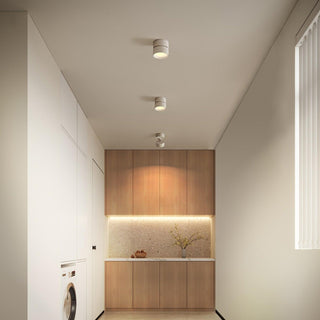 Modern Adjustable Ceiling Spotlight